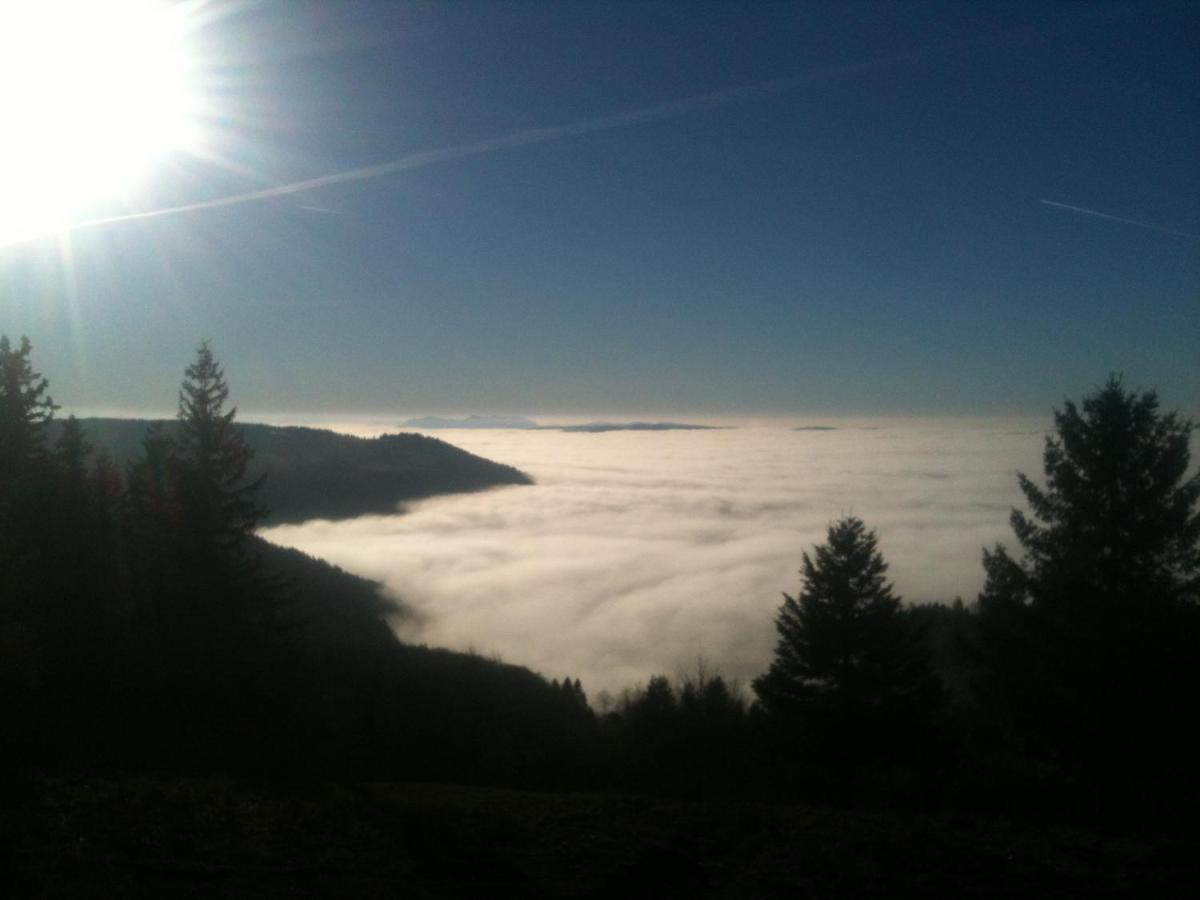 Les Gites De La Serva - Champ Du Feu - Montagnes- Vosges Belmont  Exterior foto